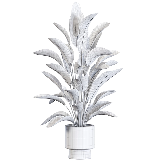 Botanical 3D Plant Collection 3D model image 3