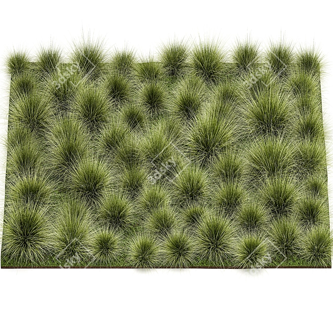 Urban Needle Grass Collection 3D model image 6