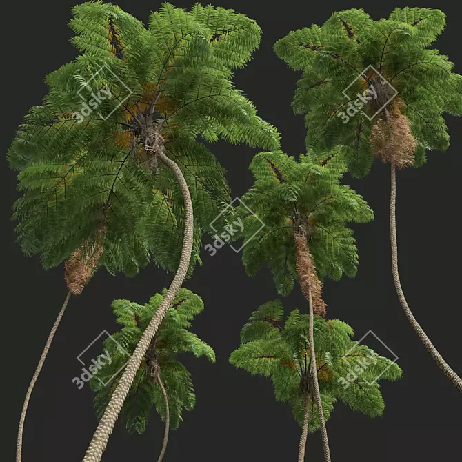 Spinulosa Fern 3D Decor Models 3D model image 3