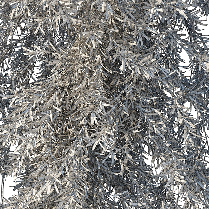 Vines Rosemary 3D Model 2016 3D model image 3