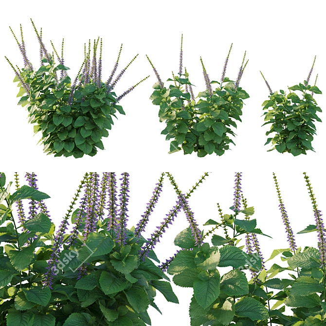 Belly Buster Plant Replica 3D model image 1