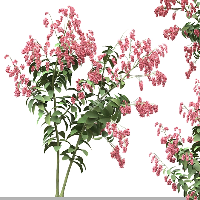 Polygonum Orientale Set (3 Plants) 3D model image 3