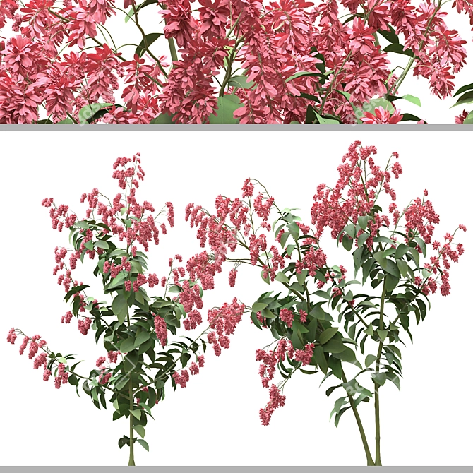 Polygonum Orientale Set (3 Plants) 3D model image 6