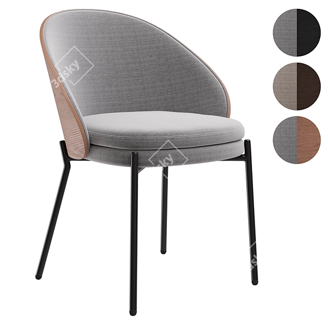 Eamy Chair in Three Colors 3D model image 1