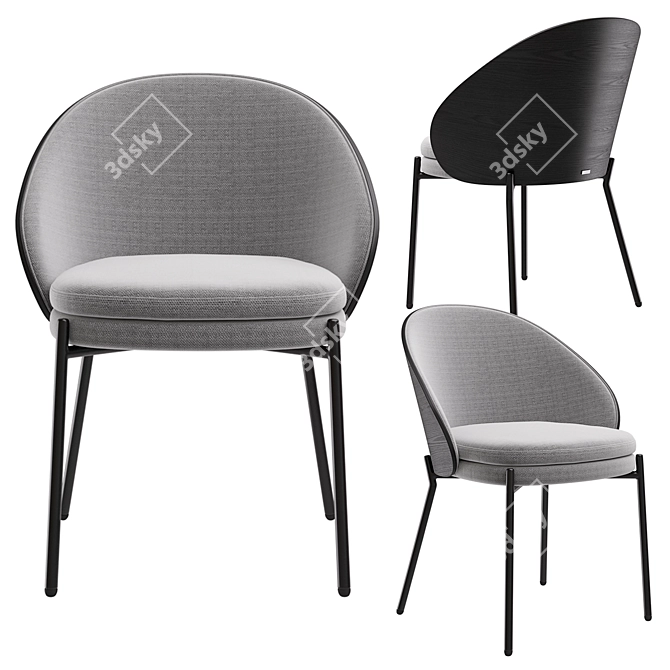 Eamy Chair in Three Colors 3D model image 4