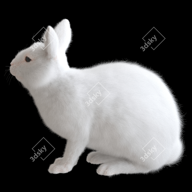 White Rabbit Model Virtual Asset 3D model image 3