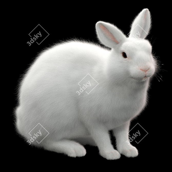 White Rabbit Model Virtual Asset 3D model image 5