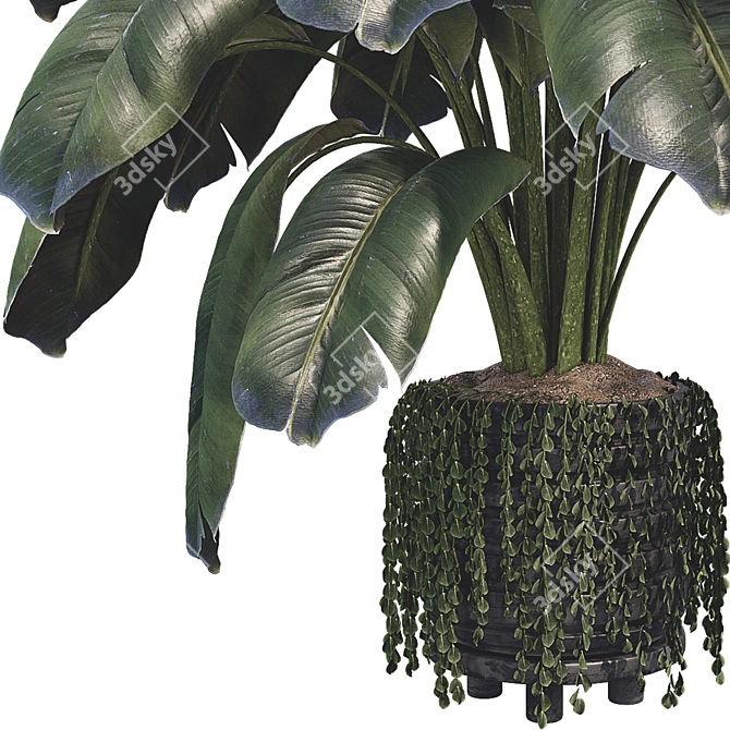Modern Botanical Vase Set 3D model image 2