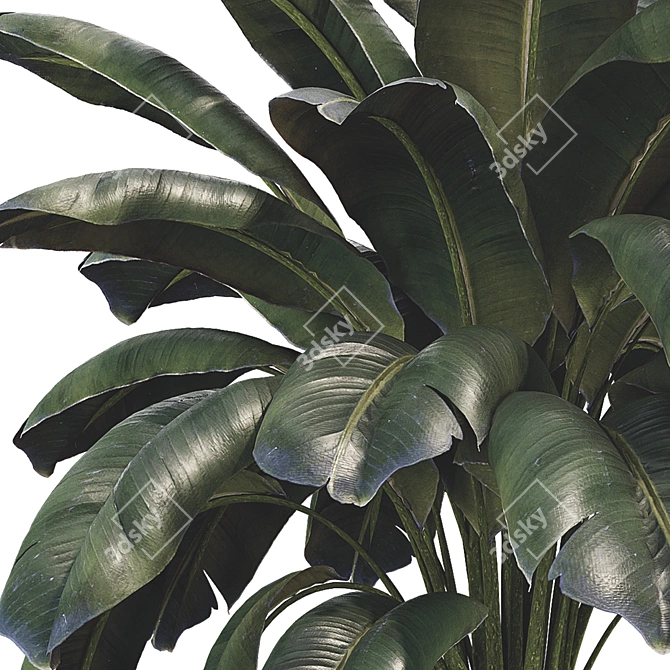 Modern Botanical Vase Set 3D model image 3