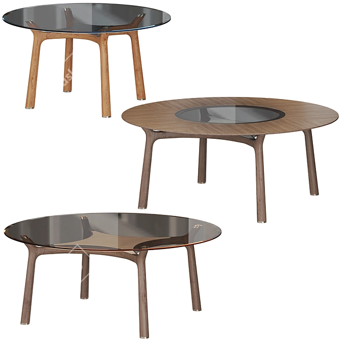 Giorgetti Memos Round Table Set 3D model image 2