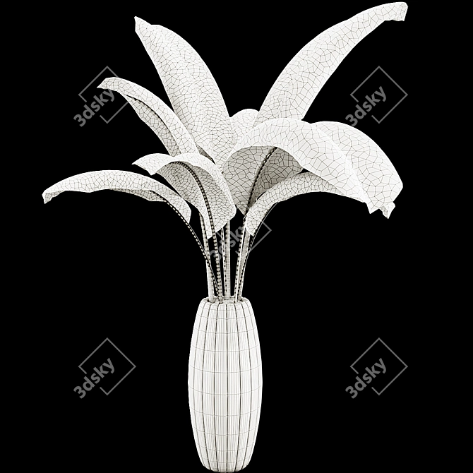 Banana Leaf Plant Collection Set 3D model image 5