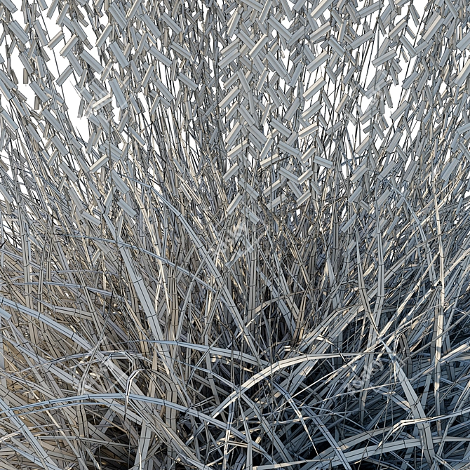 Sideoats Grama Grass Model 2016 3D model image 4