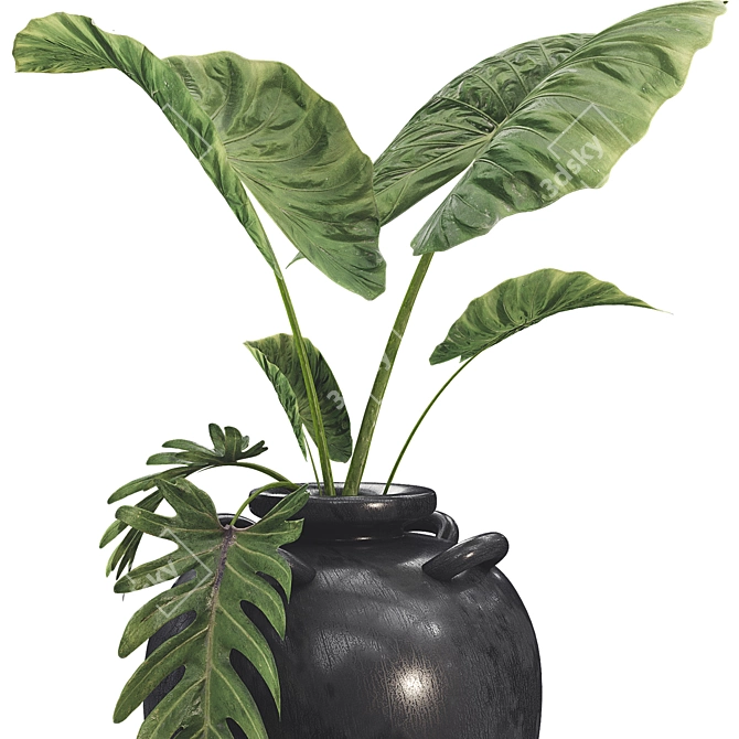 Botanical 3D Plant Collection Set 3D model image 3