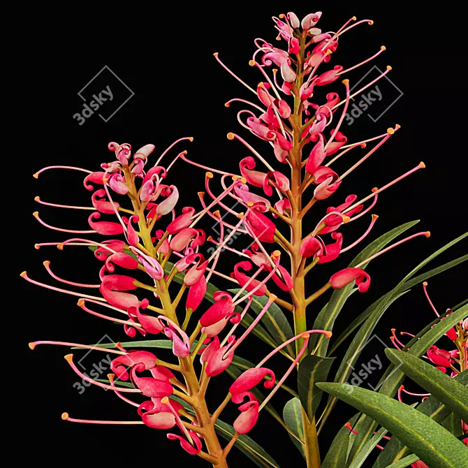 Luxury Plant Model 27 3D model image 3