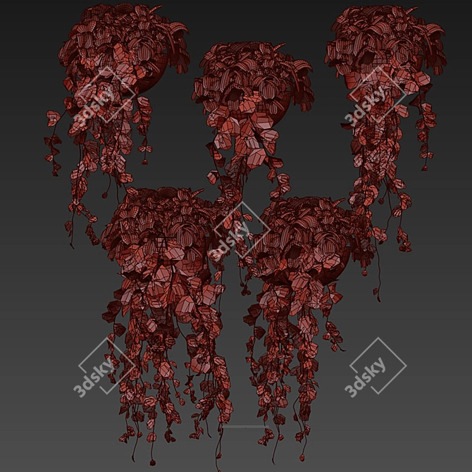 Hedera Hanging Indoor Ivy Plant 3D model image 6