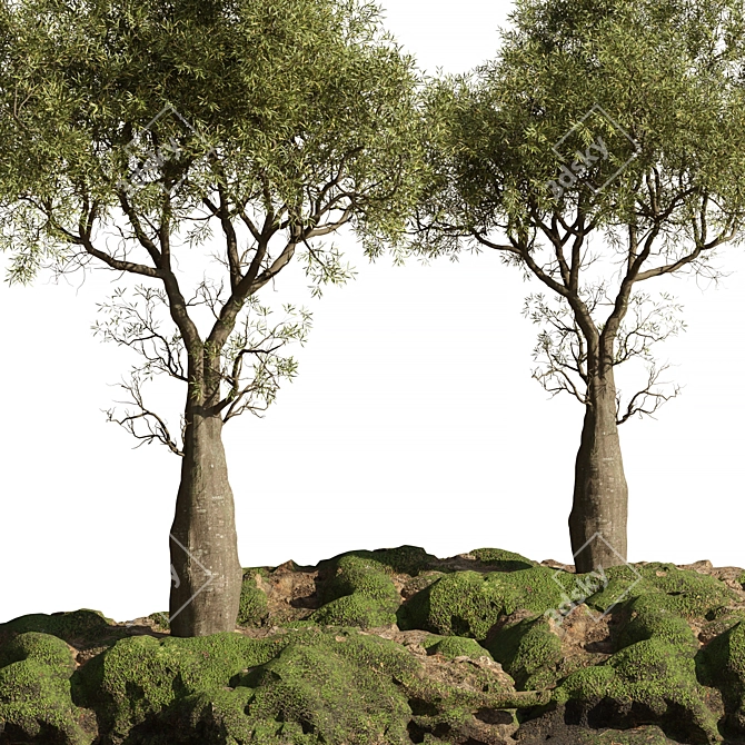 Garden Tree 3D Models Pack 3D model image 2