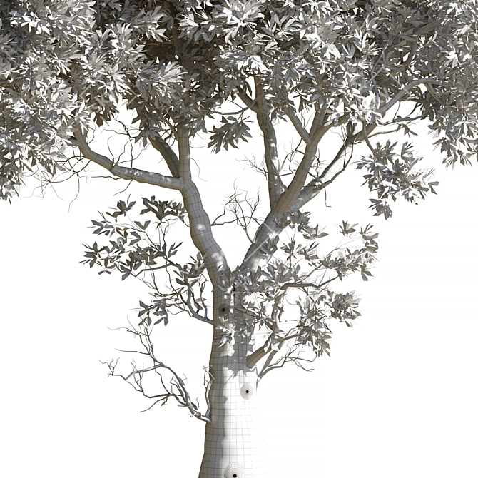 Garden Tree 3D Models Pack 3D model image 3