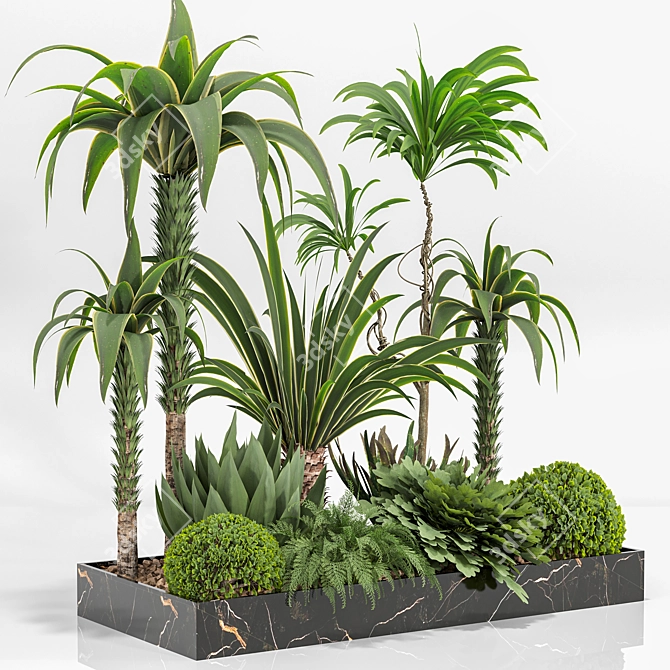 Outdoor Plant 01 3D Model 3D model image 2