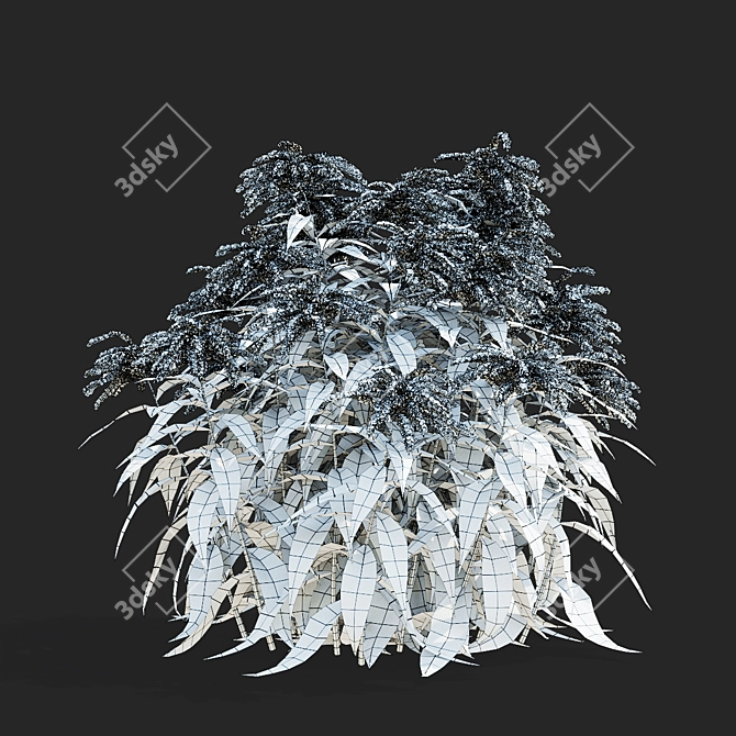 Goldenrod Flower 3D Models Bundle 3D model image 7