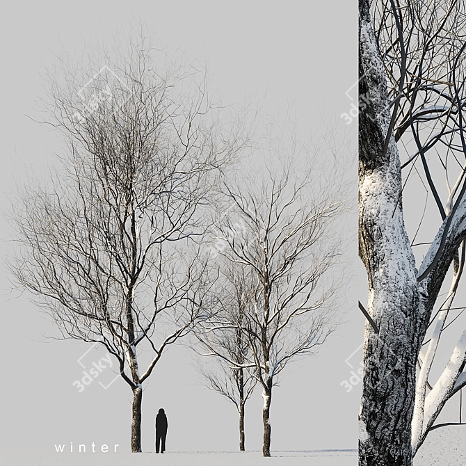 Winter Wonderland Trees Set 3D model image 1