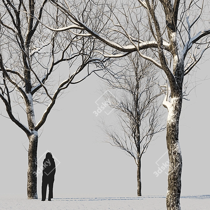 Winter Wonderland Trees Set 3D model image 2