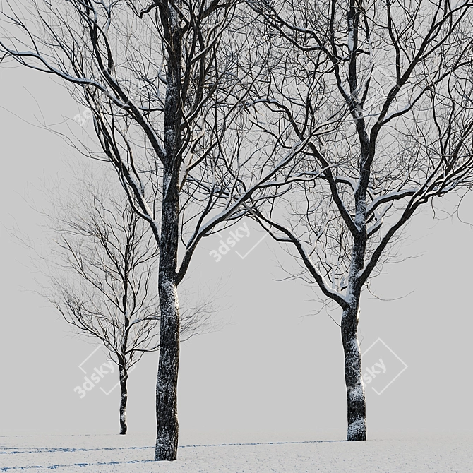 Winter Wonderland Trees Set 3D model image 4