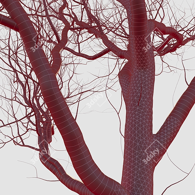 Winter Wonderland Trees Set 3D model image 7