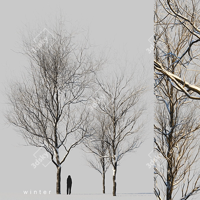 Winter Wonderland Trees Set 3D model image 18