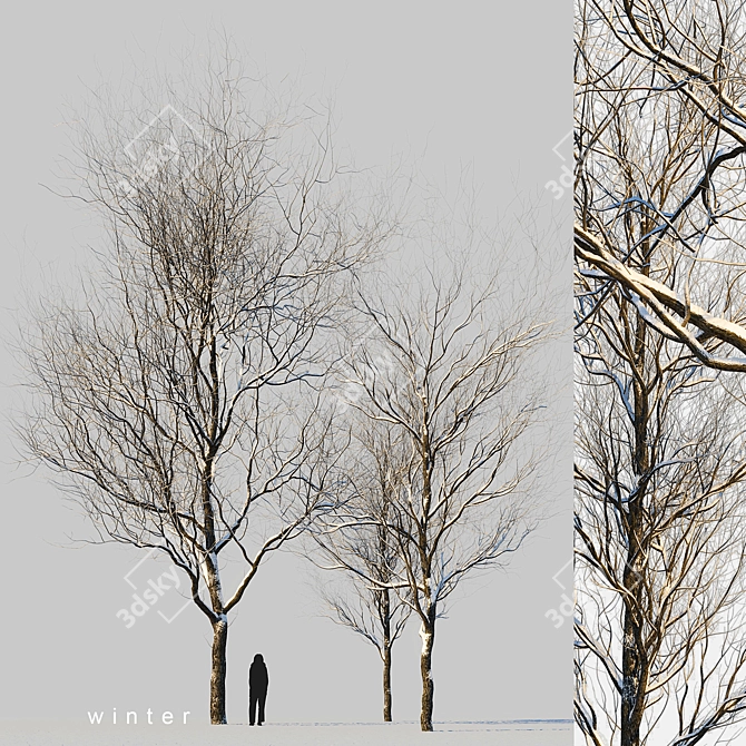 Winter Wonderland Trees Set 3D model image 19