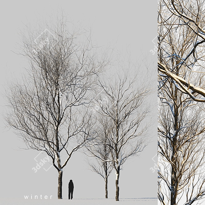 Winter Wonderland Trees Set 3D model image 20