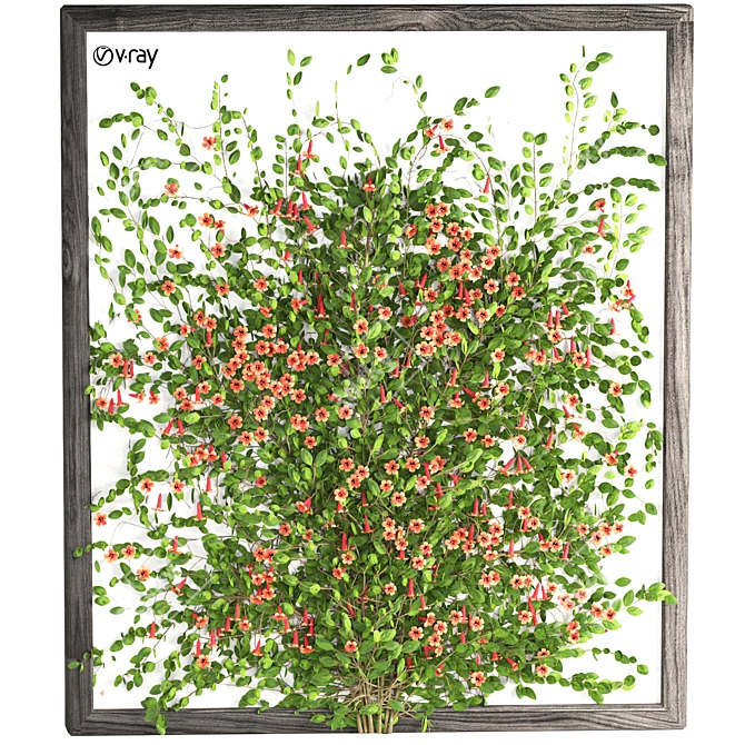 Flowering Tangerine Vine 3D Model 3D model image 1