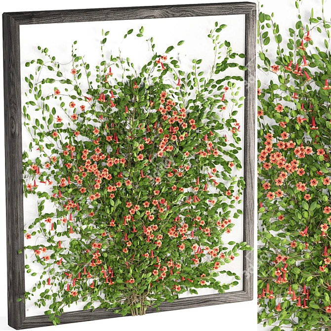 Flowering Tangerine Vine 3D Model 3D model image 2