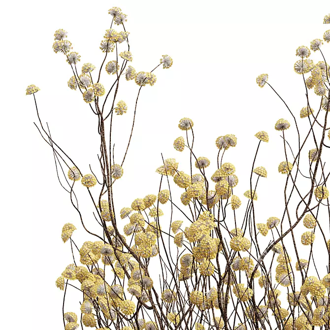Golden Paperbush 3D Tree Models 3D model image 5