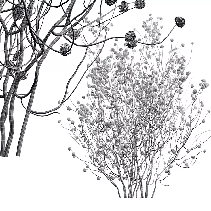 Golden Paperbush 3D Tree Models 3D model image 6