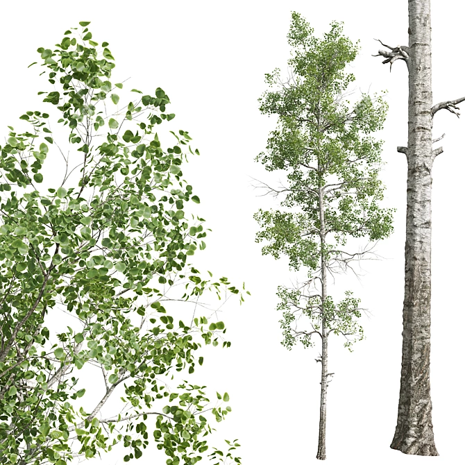 Forest Tree 3D Models Bundle 3D model image 3