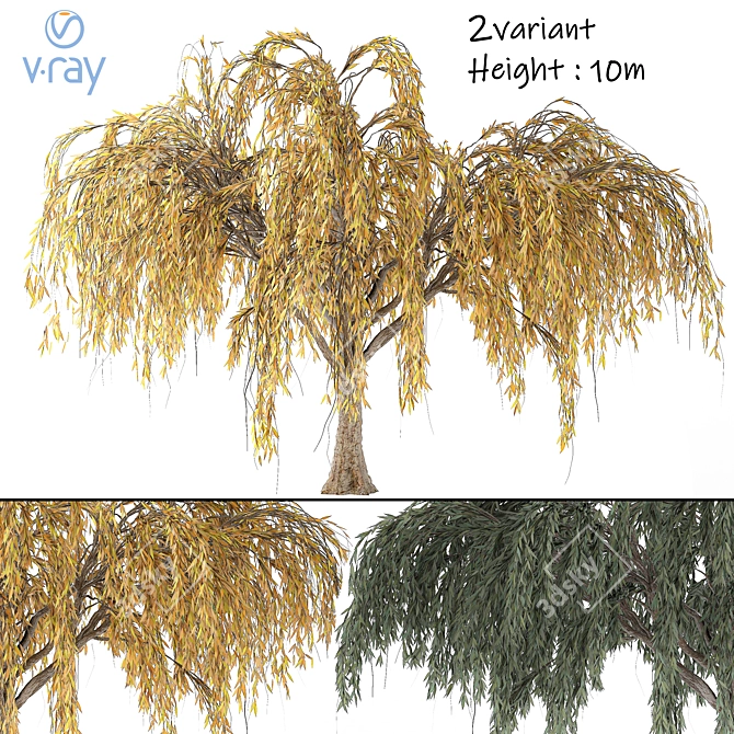 Seasonal Willow Tree Set: Summer-Autumn 3D model image 1