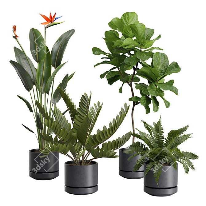 Exotic Indoor Plants Selection Pack 3D model image 1