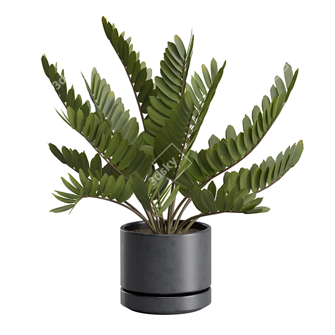 Exotic Indoor Plants Selection Pack 3D model image 7