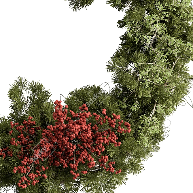 Pine & Berry Wreath Collection 3D model image 2