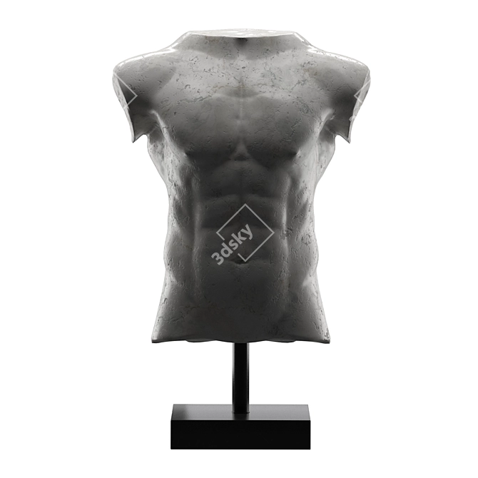 Marble Male Torso Sculpture 3D model image 7