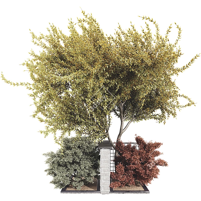 Outdoor Plant 3D Model Collection 3D model image 2