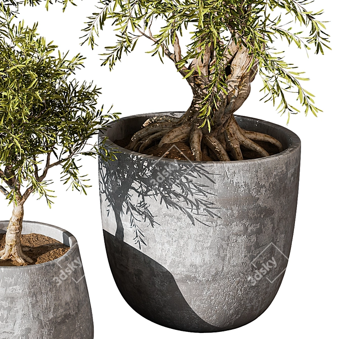 Botanical Beauty 2021 Display Set 3D model image 3