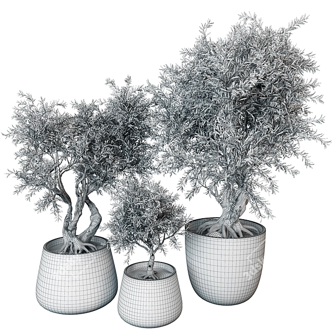 Botanical Beauty 2021 Display Set 3D model image 5