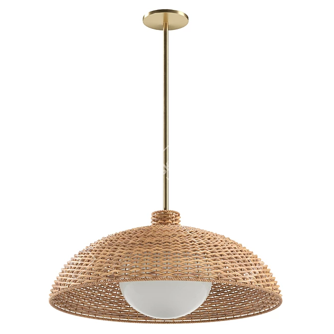 Handcrafted Rattan Pendant Light 3D model image 1