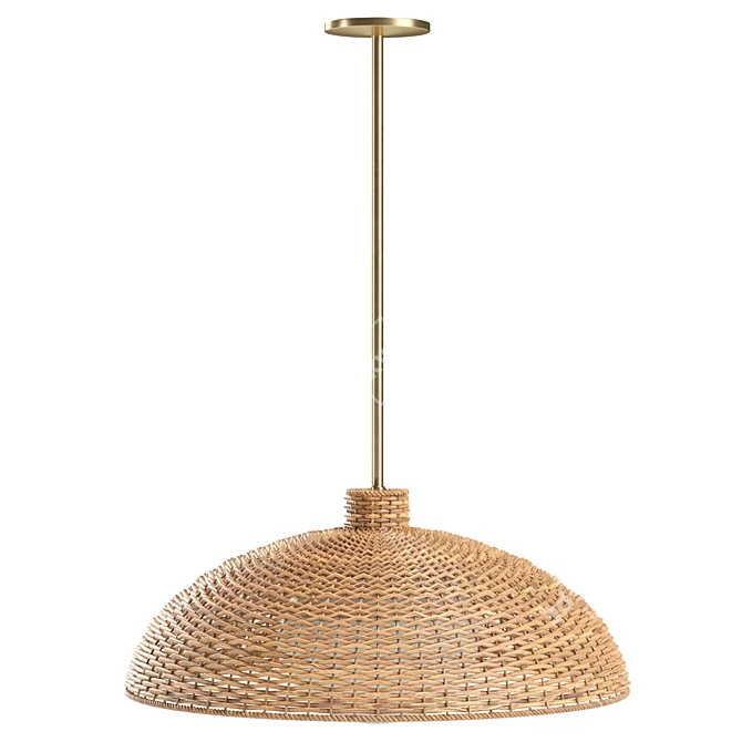 Handcrafted Rattan Pendant Light 3D model image 2