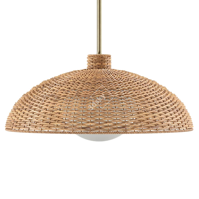 Handcrafted Rattan Pendant Light 3D model image 4