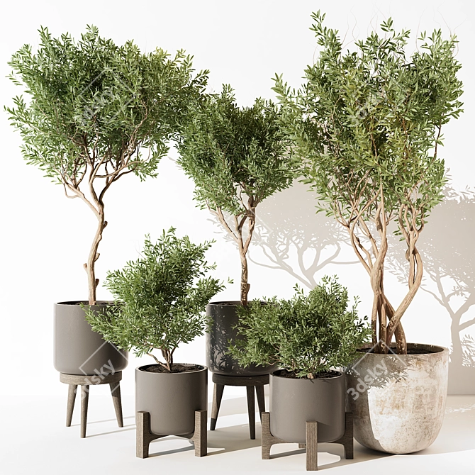 Modern Indoor Plant 203 3D model image 1