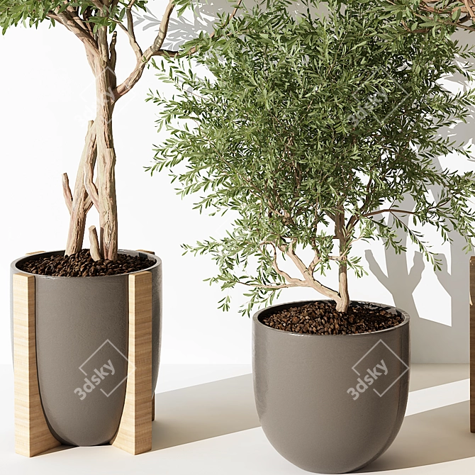 Modern Indoor Plant 3D Model 3D model image 2