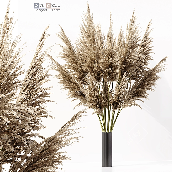 Elegant Pampas Plant 3D Model 3D model image 2