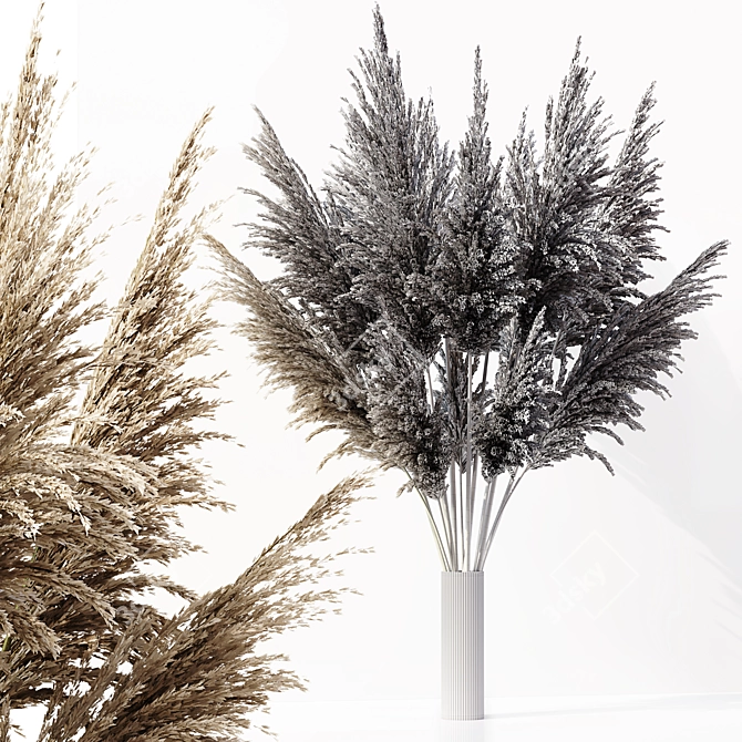 Elegant Pampas Plant 3D Model 3D model image 6